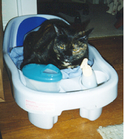 Snickers in my bathtub